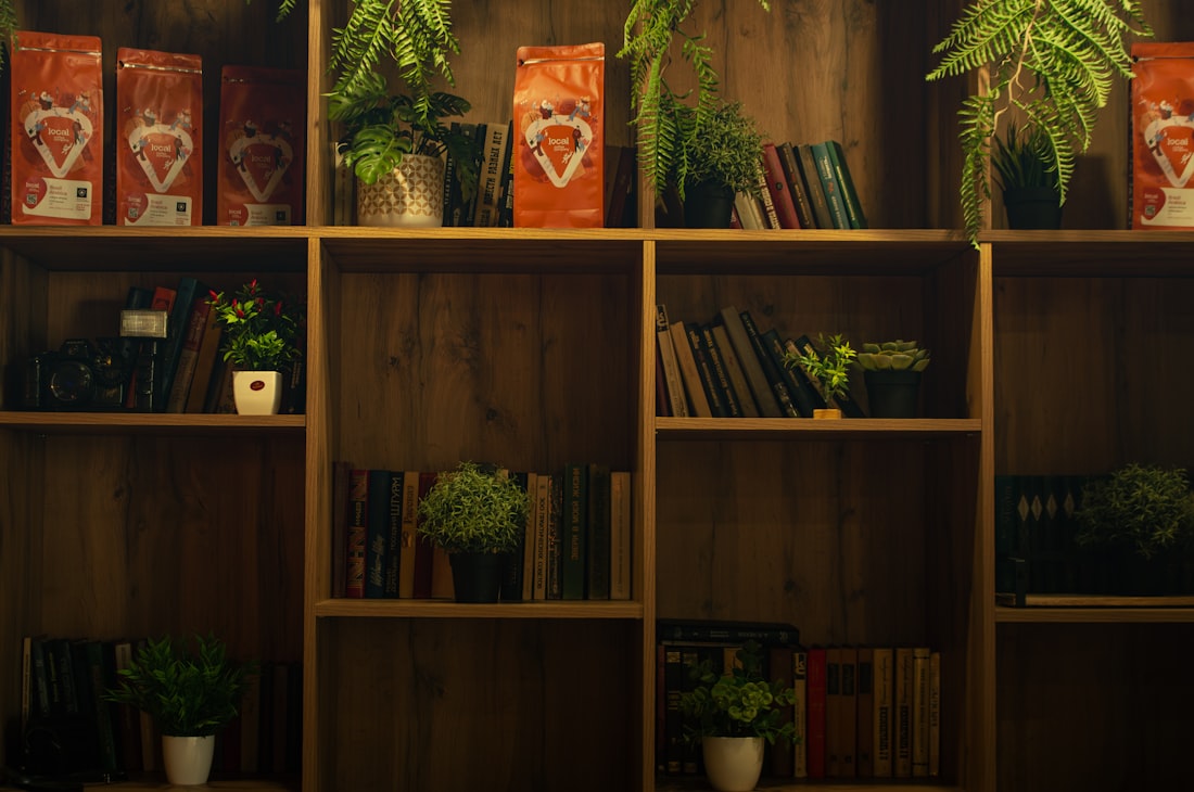 本と植物が並ぶ木の本棚